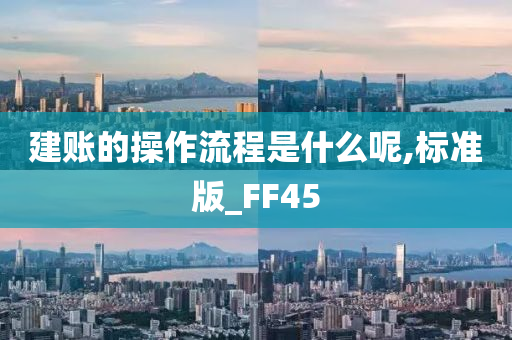 建账的操作流程是什么呢,标准版_FF45