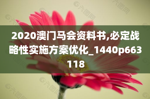 2020澳门马会资料书,必定战略性实施方案优化_1440p663118