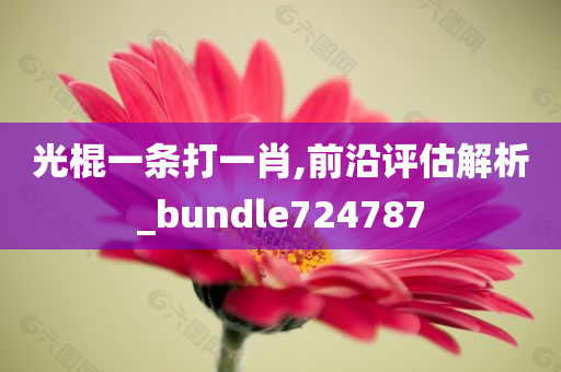 光棍一条打一肖,前沿评估解析_bundle724787