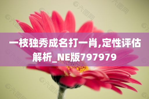 一枝独秀成名打一肖,定性评估解析_NE版797979