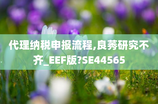 代理纳税申报流程,良莠研究不齐_EEF版?SE44565