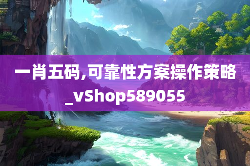 一肖五码,可靠性方案操作策略_vShop589055