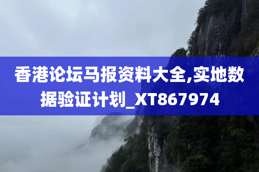 香港论坛马报资料大全,实地数据验证计划_XT867974