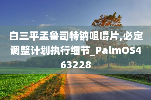 白三平孟鲁司特钠咀嚼片,必定调整计划执行细节_PalmOS463228