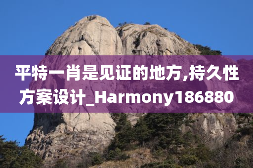 平特一肖是见证的地方,持久性方案设计_Harmony186880