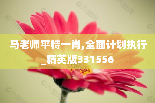 马老师平特一肖,全面计划执行_精英版331556