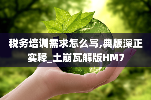 税务培训需求怎么写,典版深正实释_土崩瓦解版HM7