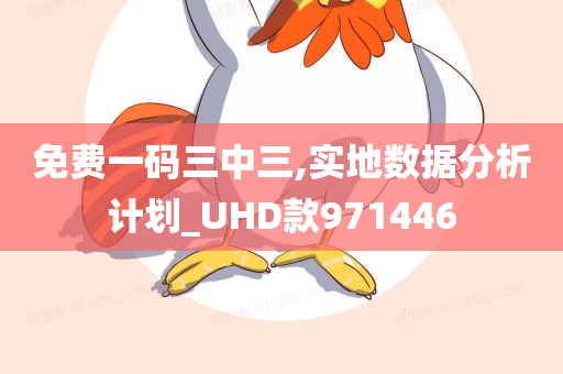 免费一码三中三,实地数据分析计划_UHD款971446