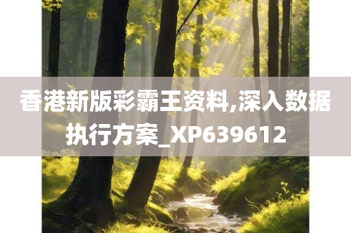 香港新版彩霸王资料,深入数据执行方案_XP639612