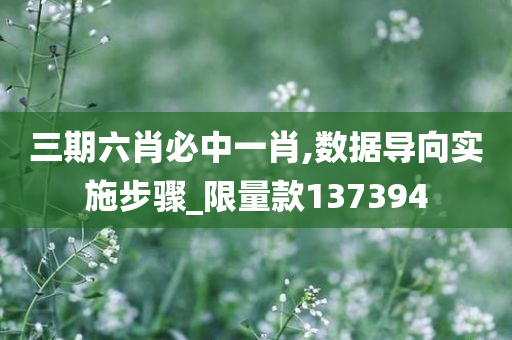 三期六肖必中一肖,数据导向实施步骤_限量款137394