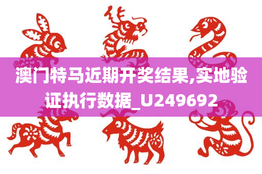 澳门特马近期开奖结果,实地验证执行数据_U249692