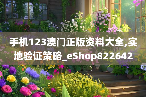 手机123澳门正版资料大全,实地验证策略_eShop822642