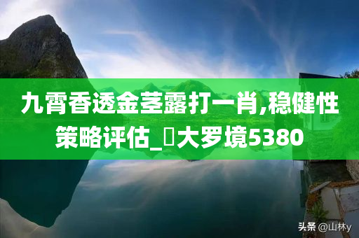 九霄香透金茎露打一肖,稳健性策略评估_?大罗境5380