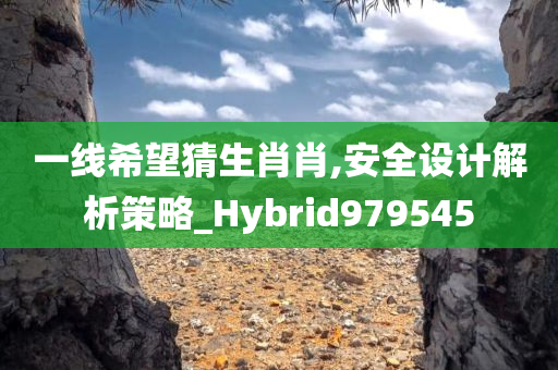 一线希望猜生肖肖,安全设计解析策略_Hybrid979545