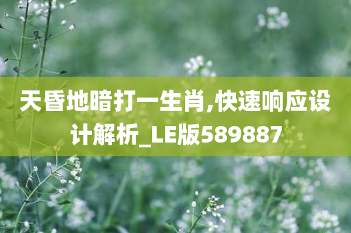 天昏地暗打一生肖,快速响应设计解析_LE版589887