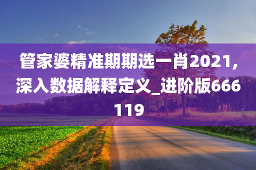 管家婆精准期期选一肖2021,深入数据解释定义_进阶版666119