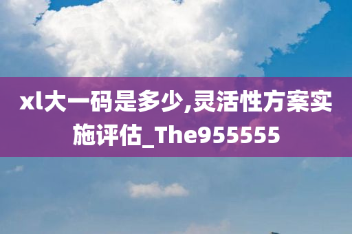 xl大一码是多少,灵活性方案实施评估_The955555