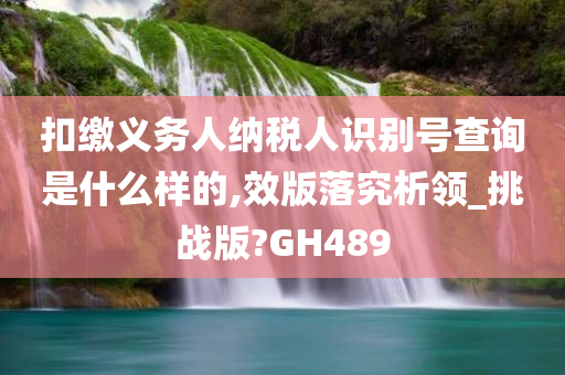 扣缴义务人纳税人识别号查询是什么样的,效版落究析领_挑战版?GH489