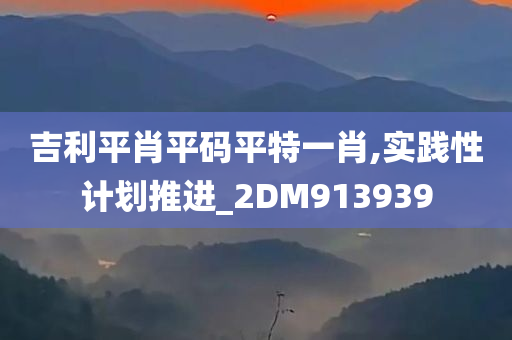 吉利平肖平码平特一肖,实践性计划推进_2DM913939