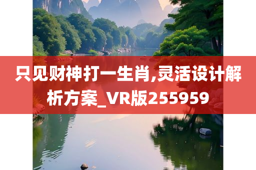 只见财神打一生肖,灵活设计解析方案_VR版255959