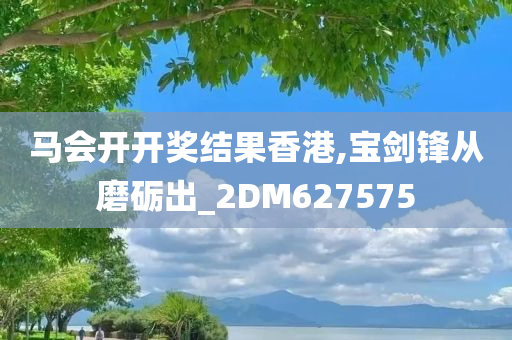 马会开开奖结果香港,宝剑锋从磨砺出_2DM627575