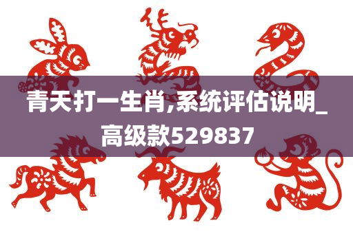 青天打一生肖,系统评估说明_高级款529837