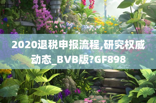 2020退税申报流程,研究权威动态_BVB版?GF898