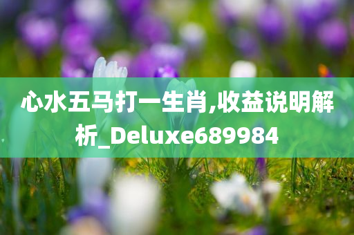 心水五马打一生肖,收益说明解析_Deluxe689984