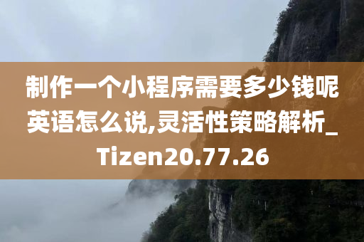 制作一个小程序需要多少钱呢英语怎么说,灵活性策略解析_Tizen20.77.26