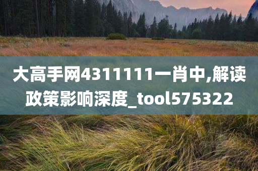 大高手网4311111一肖中,解读政策影响深度_tool575322