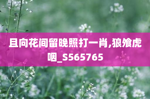 且向花间留晚照打一肖,狼飧虎咽_S565765