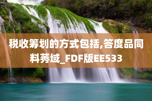 税收筹划的方式包括,答度品同料莠域_FDF版EE533