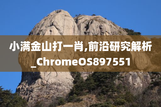 小满金山打一肖,前沿研究解析_ChromeOS897551