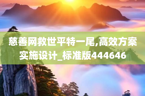 慈善网救世平特一尾,高效方案实施设计_标准版444646