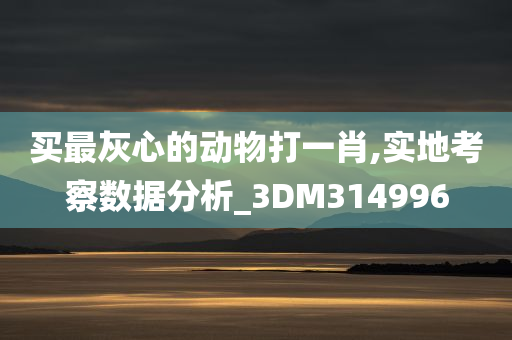 买最灰心的动物打一肖,实地考察数据分析_3DM314996