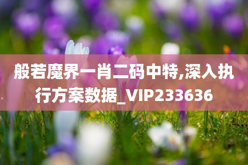 般若魔界一肖二码中特,深入执行方案数据_VIP233636