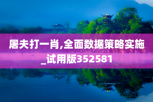 屠夫打一肖,全面数据策略实施_试用版352581