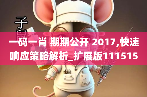 一码一肖 期期公开 2017,快速响应策略解析_扩展版111515