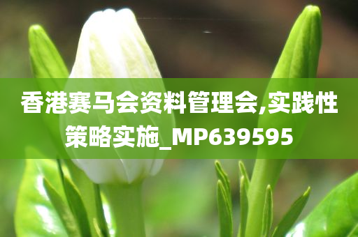 香港赛马会资料管理会,实践性策略实施_MP639595