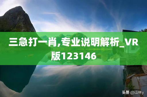 三急打一肖,专业说明解析_VR版123146