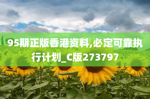 95期正版香港资料,必定可靠执行计划_C版273797