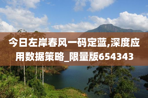 今日左岸春风一码定蓝,深度应用数据策略_限量版654343