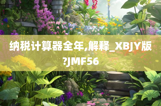 纳税计算器全年,解释_XBJY版?JMF56