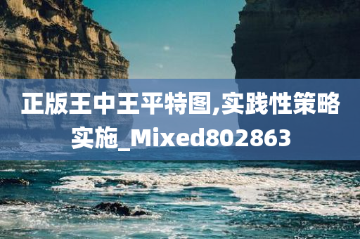 正版王中王平特图,实践性策略实施_Mixed802863