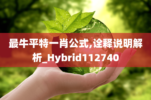 最牛平特一肖公式,诠释说明解析_Hybrid112740