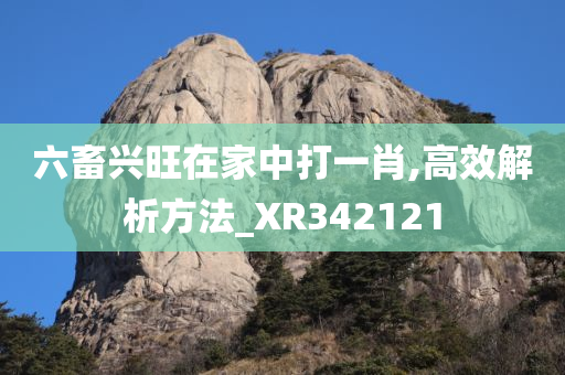 六畜兴旺在家中打一肖,高效解析方法_XR342121