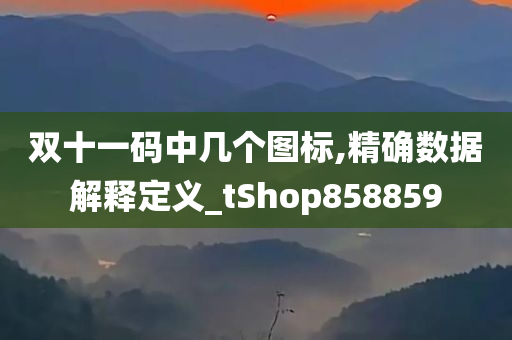 双十一码中几个图标,精确数据解释定义_tShop858859