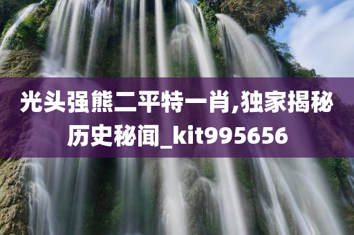 光头强熊二平特一肖,独家揭秘历史秘闻_kit995656