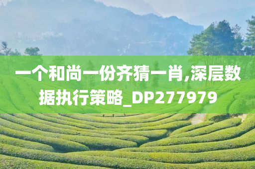 一个和尚一份齐猜一肖,深层数据执行策略_DP277979