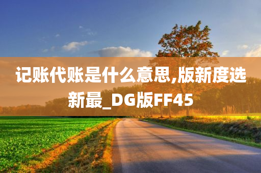 记账代账是什么意思,版新度选新最_DG版FF45